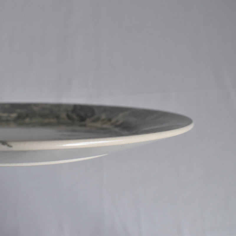 Antique dessert plate, Sarreguemines, Neige (Snow), H