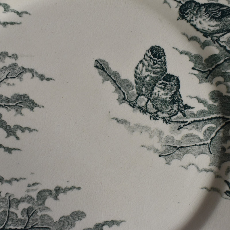 Antique dessert plate, Sarreguemines, Neige (Snow), H
