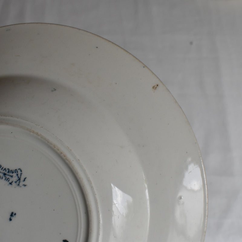 Antique deep plate K&G Luneville Tulipes B