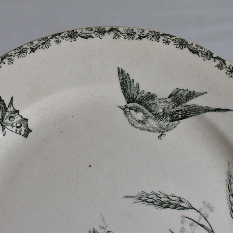 Antique Dessert Plate HB&Cie Birds A