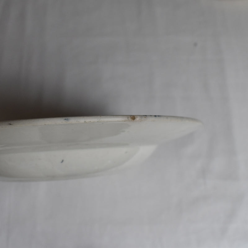 Antique deep plate K&G Luneville Tulipes B
