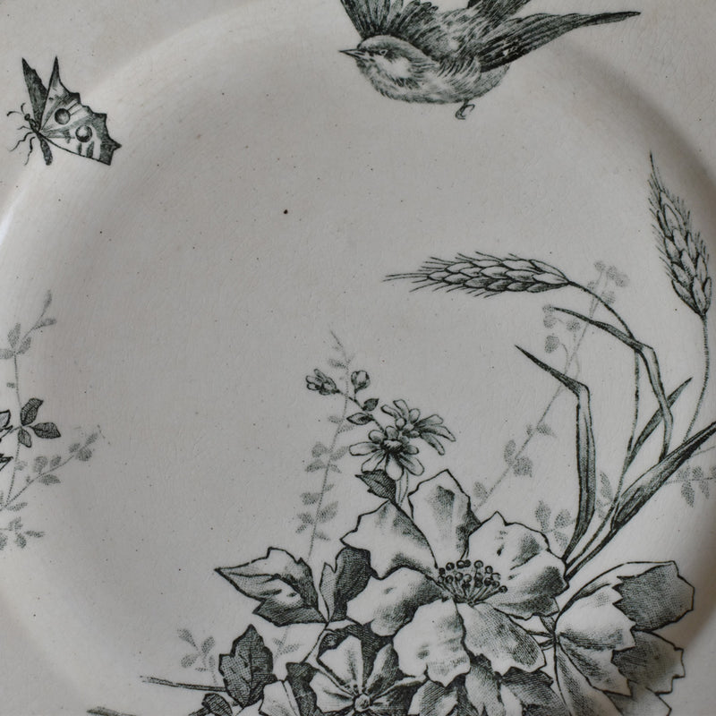 Antique Dessert Plate HB&Cie Birds A