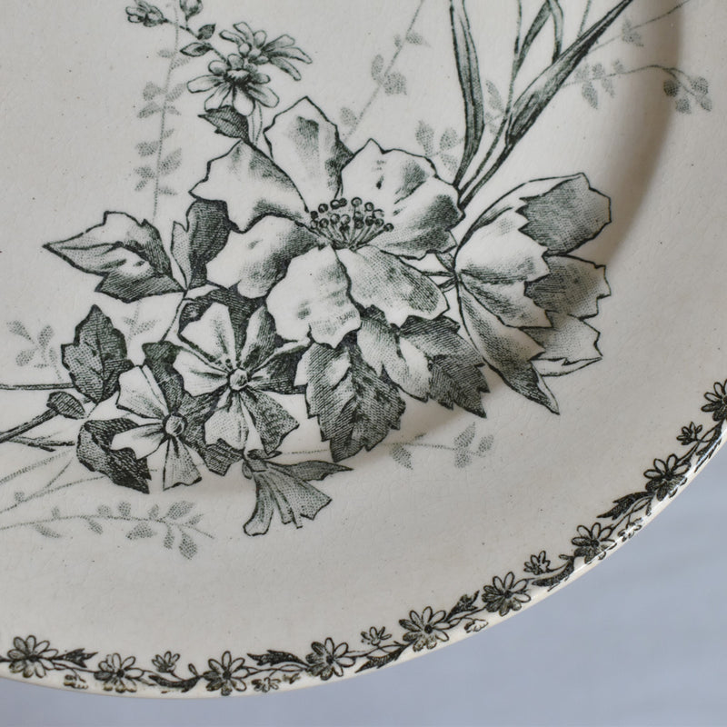 Antique Dessert Plate HB&Cie Birds A