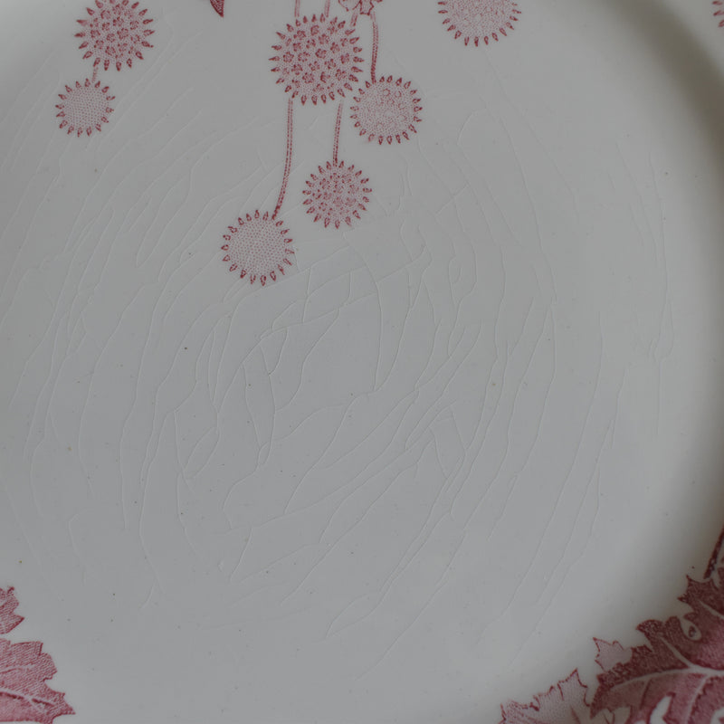 アンティークプレート K&Gリュネヴィル Platane B