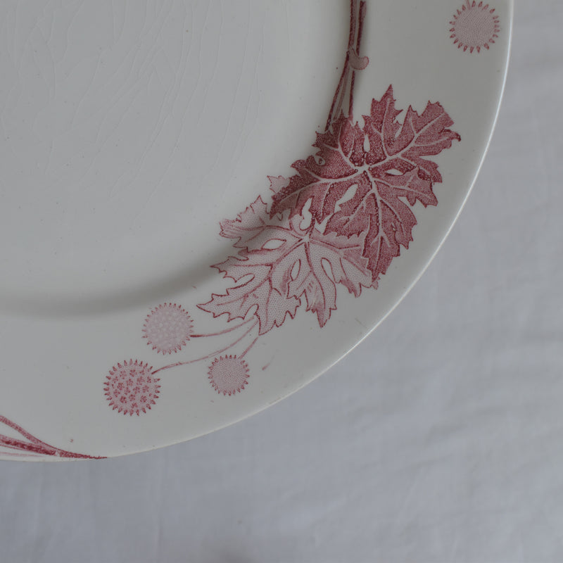 アンティークプレート K&Gリュネヴィル Platane B