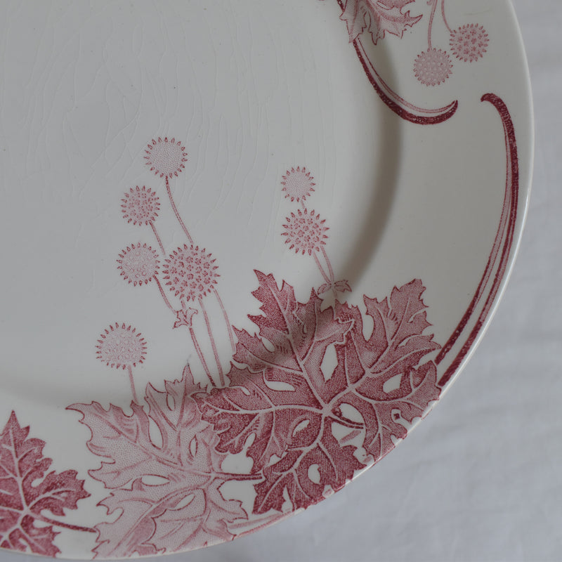 アンティークプレート K&Gリュネヴィル Platane B