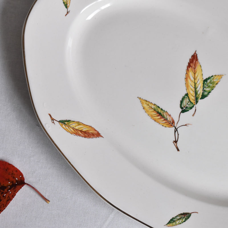 Vintage Oval Platter, Digoin & Sarreguemines Nemours