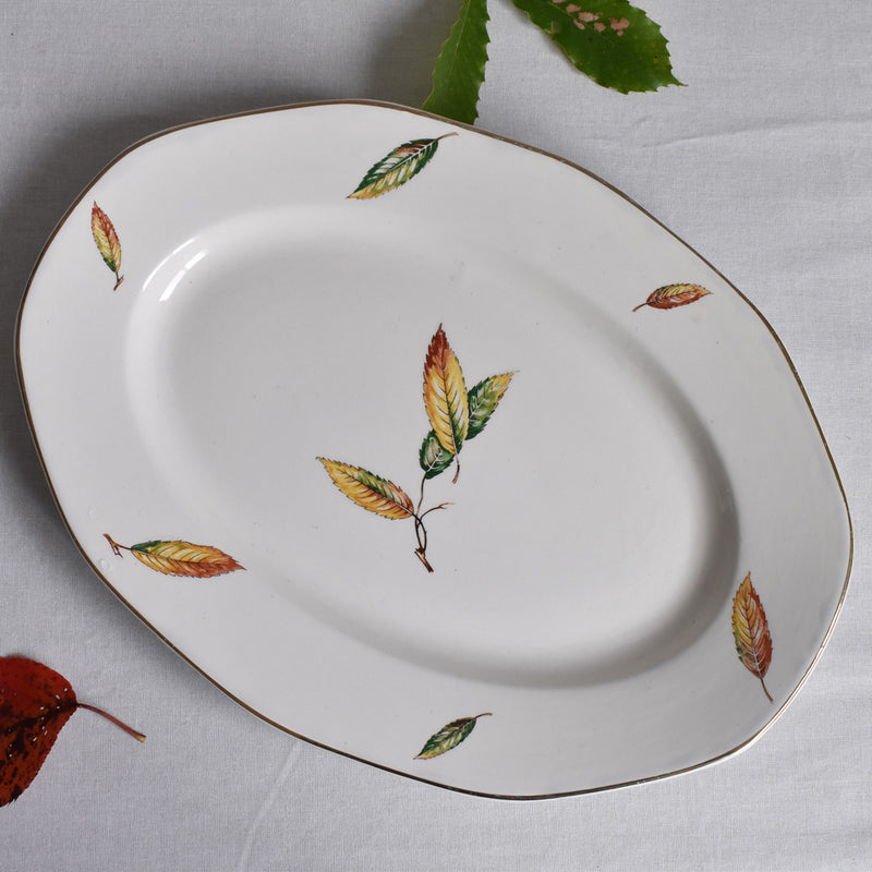 Vintage Oval Platter, Digoin & Sarreguemines Nemours