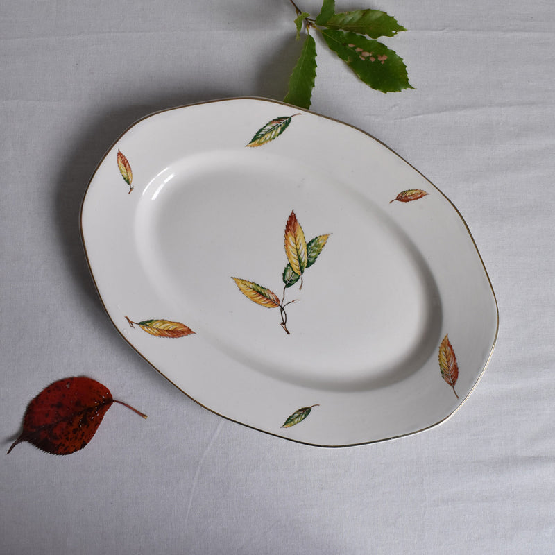 Vintage Oval Platter, Digoin & Sarreguemines Nemours