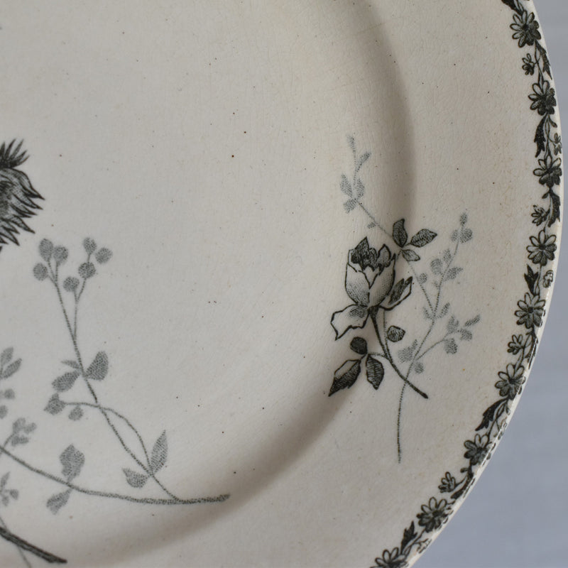 Antique dessert plate, HB&Cie Oiseaux B