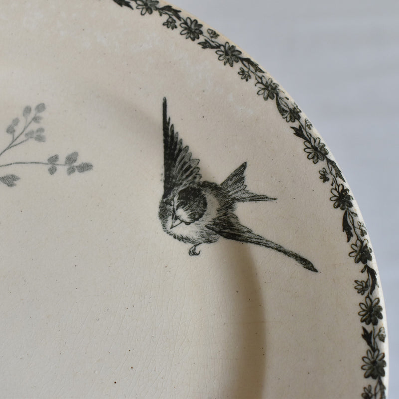 Antique dessert plate, HB&Cie Oiseaux B