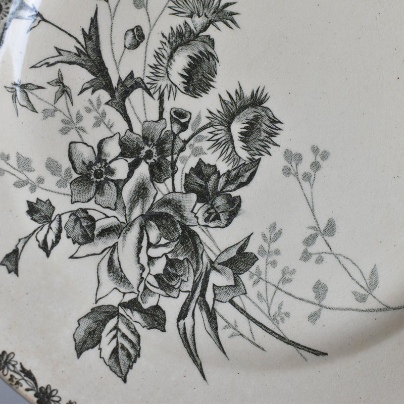 Antique dessert plate, HB&Cie Oiseaux B