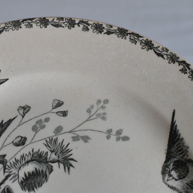 Antique dessert plate, HB&Cie Oiseaux B