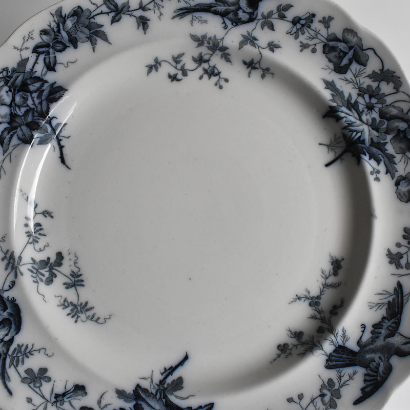 Antique Plate BWM&Co (E.Bourgeois) Indiana B
