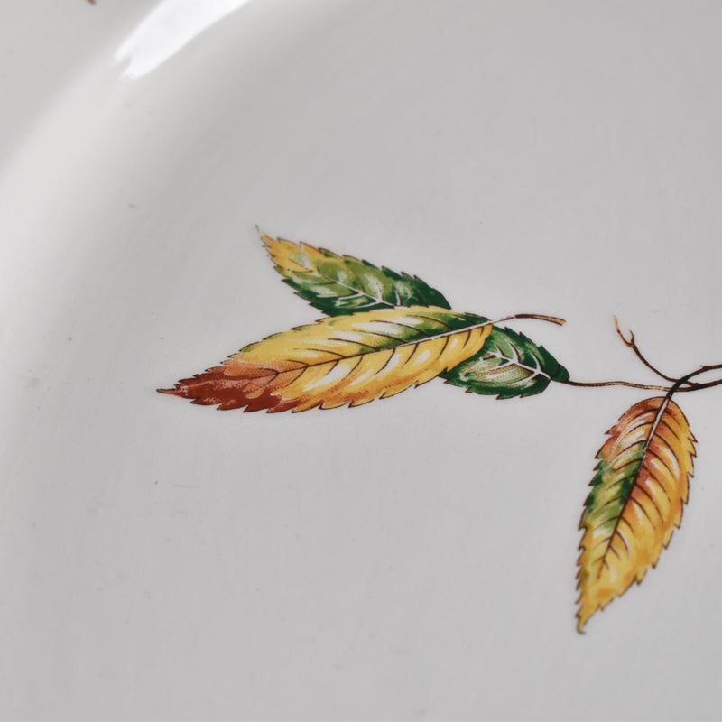 Vintage Oval Platter, Digoin & Sarreguemines Nemours