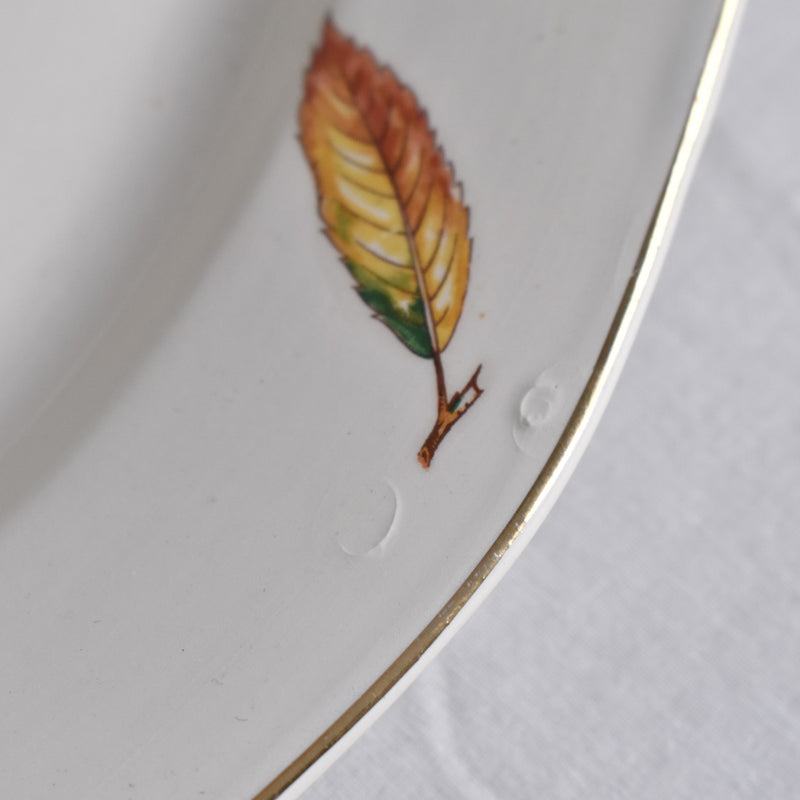 Vintage Oval Platter, Digoin & Sarreguemines Nemours