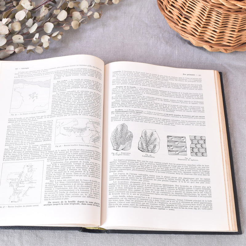 Vintage encyclopedia: Encyclopédie autodidactique Quillet II