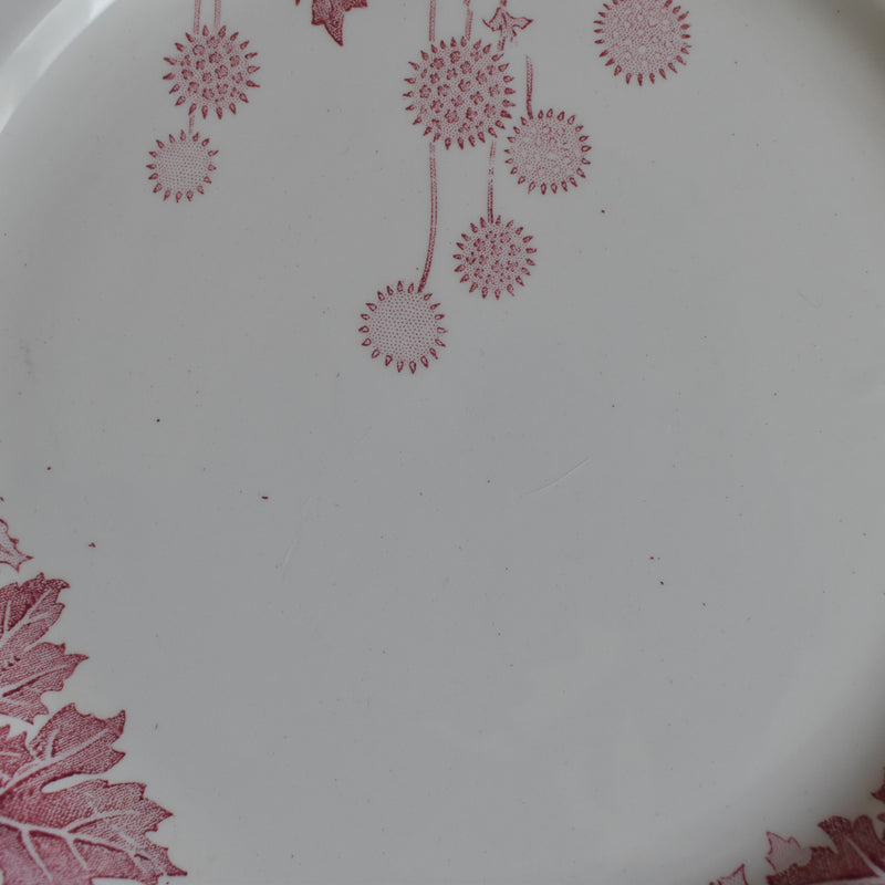 Antique Plate K&G Luneville Platane C