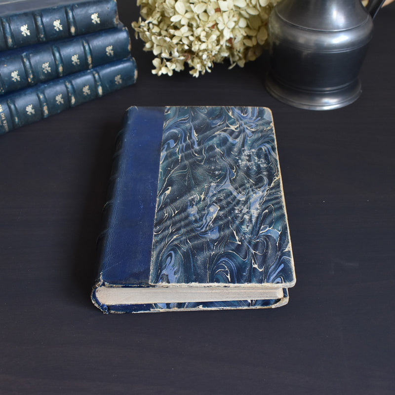 Antique Book: Raoul Daubry