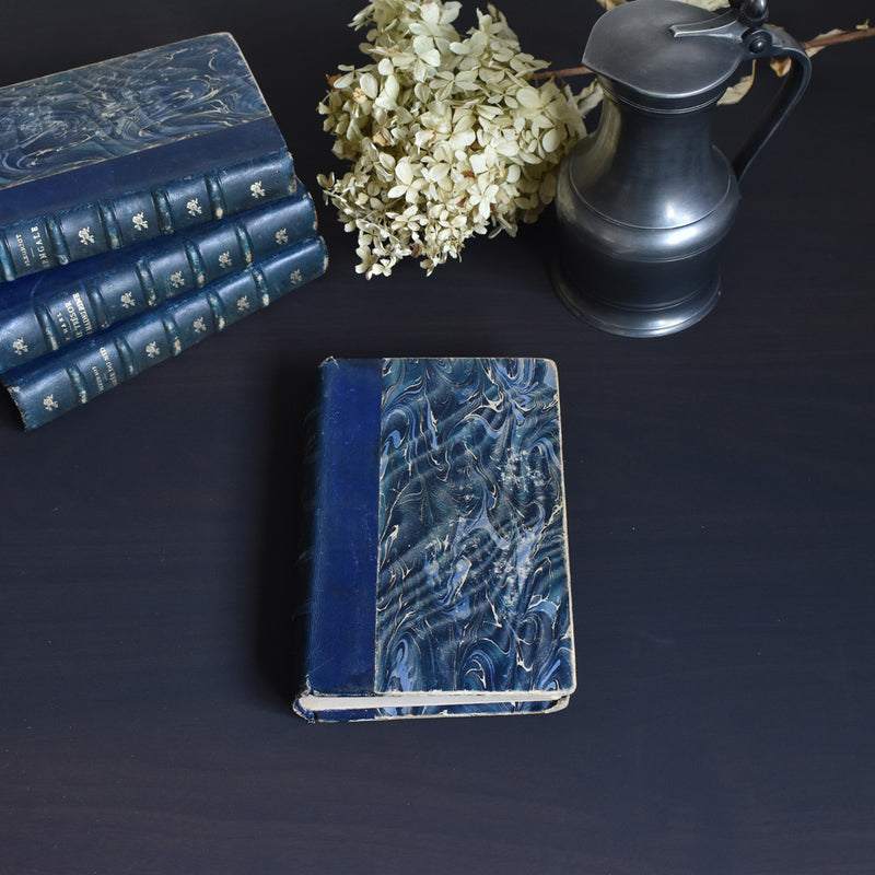 Antique Book: Raoul Daubry