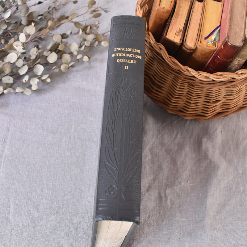 Vintage encyclopedia: Encyclopédie autodidactique Quillet II