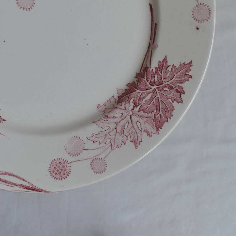 Antique Plate K&G Luneville Platane C