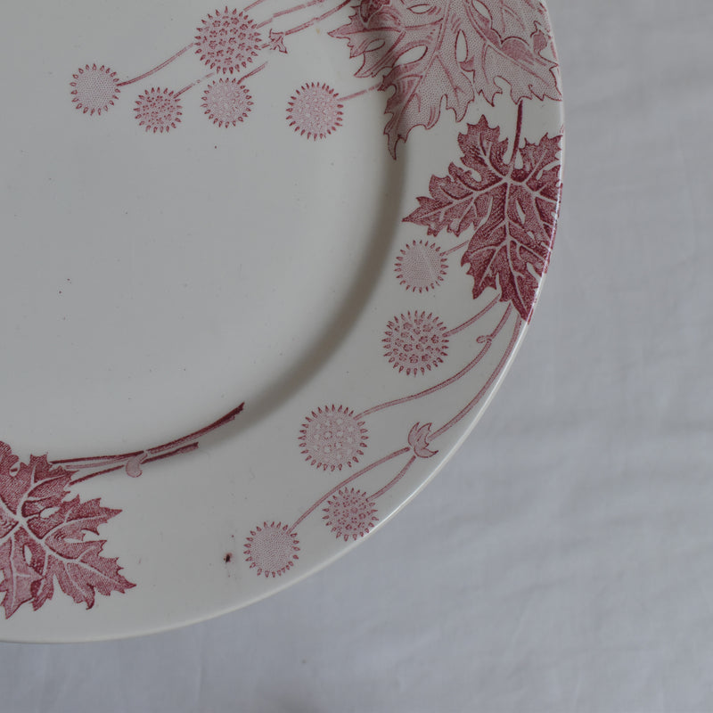 Antique Plate K&G Luneville Platane C
