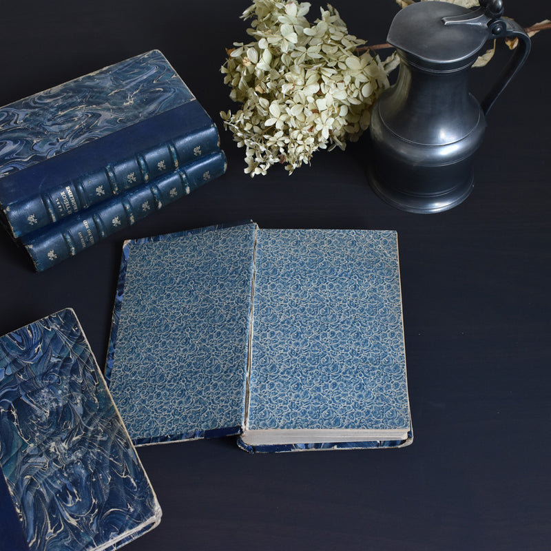 Antique Book: Raoul Daubry