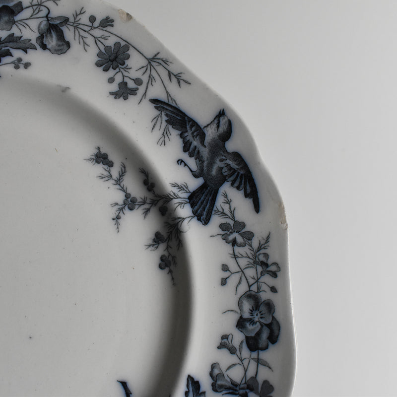 Antique Plate BWM&Co (E.Bourgeois) Indiana B