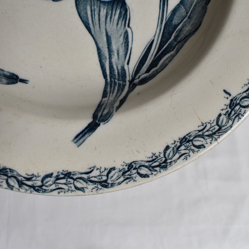 Antique Deep Plate, K&G Luneville, Tulipes C