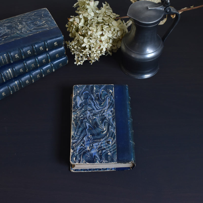 Antique Book: Raoul Daubry