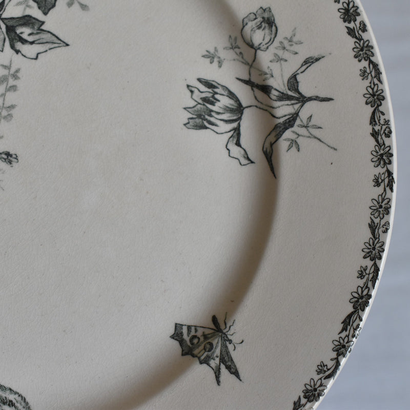 Antique Plate HB&Cie Oiseaux A