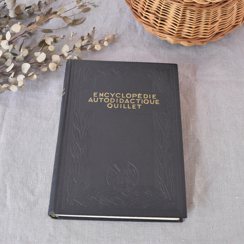 Vintage Encyclopedia: Encyclopédie autodidactique Quillet IV