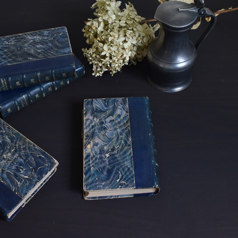 Antique book: Le Trésor de Madelaine