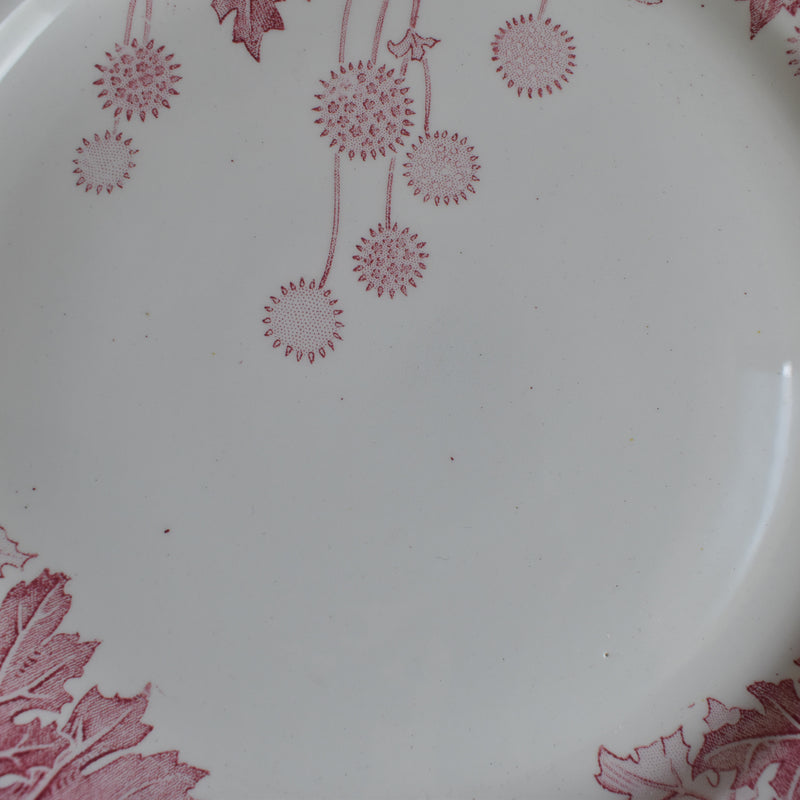 Antique Plate K&G Luneville Platane D