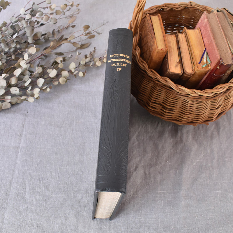 Vintage Encyclopedia: Encyclopédie autodidactique Quillet IV