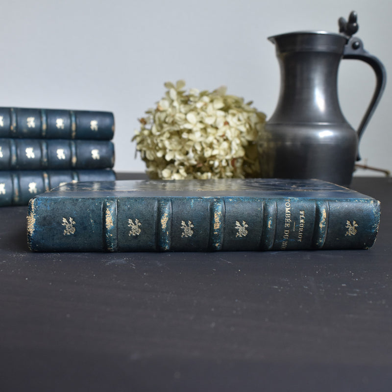 Antique Book: Tombée du Nid