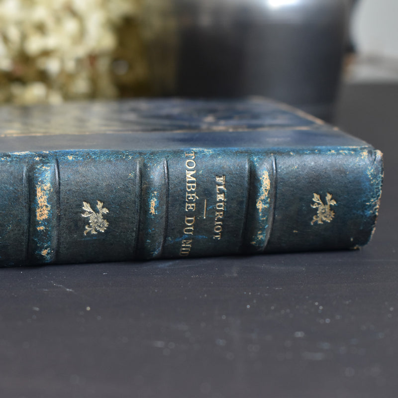 Antique Book: Tombée du Nid