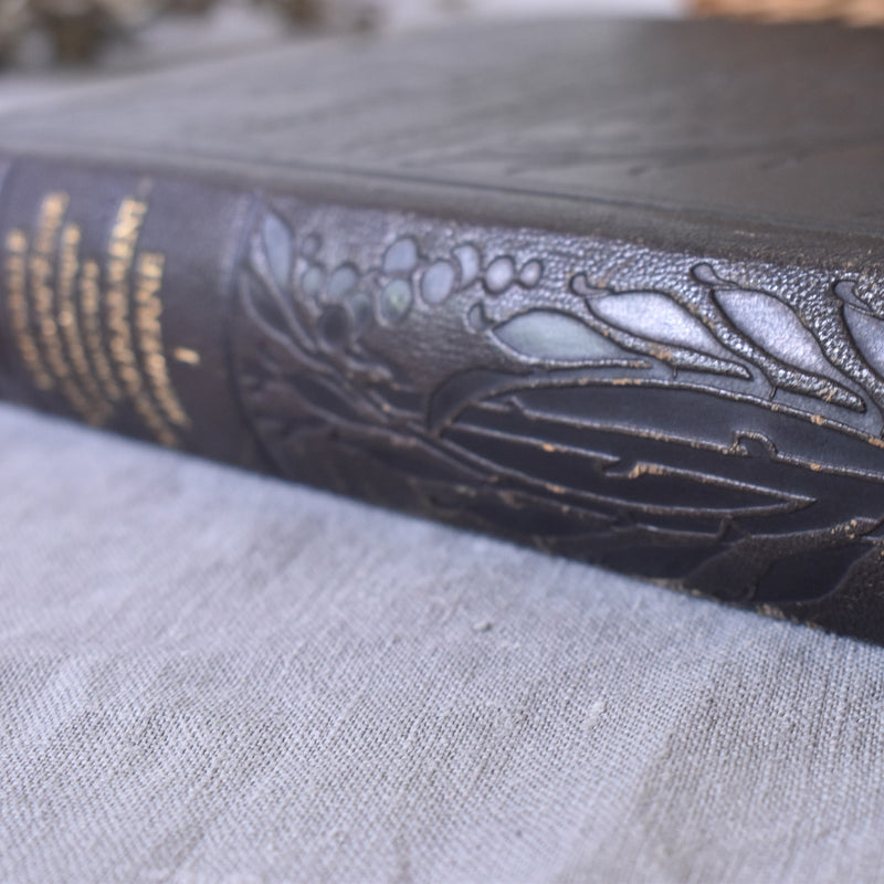 Vintage encyclopedia: Encyclopédie autodidactique Quillet I