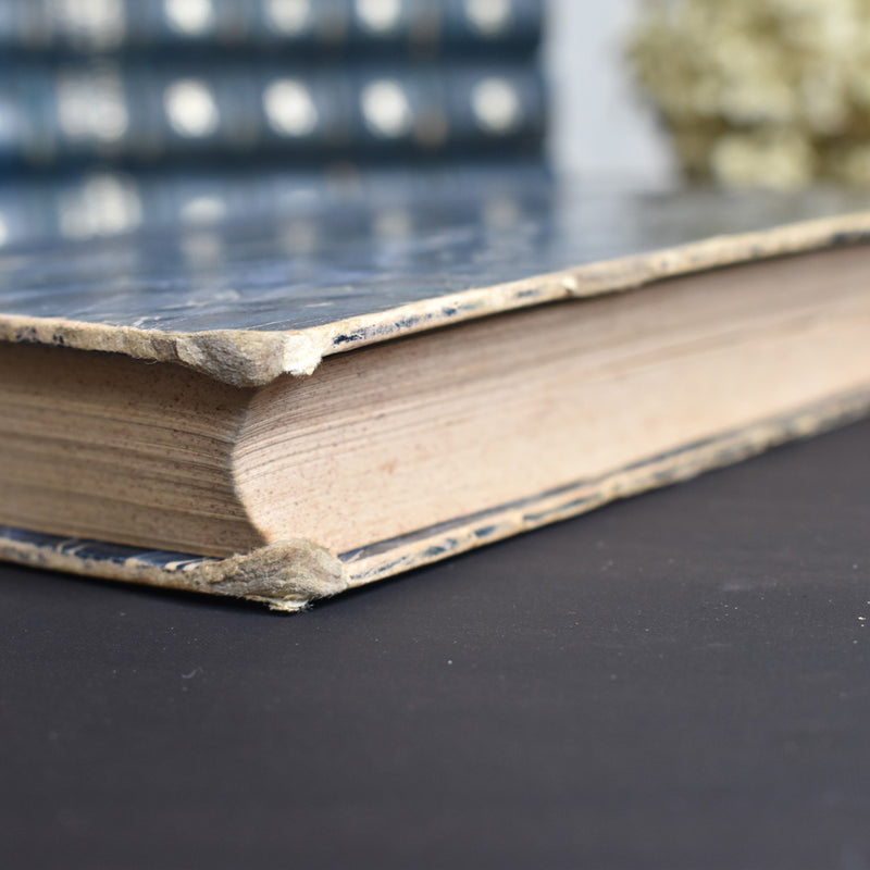 Antique Book: Tombée du Nid