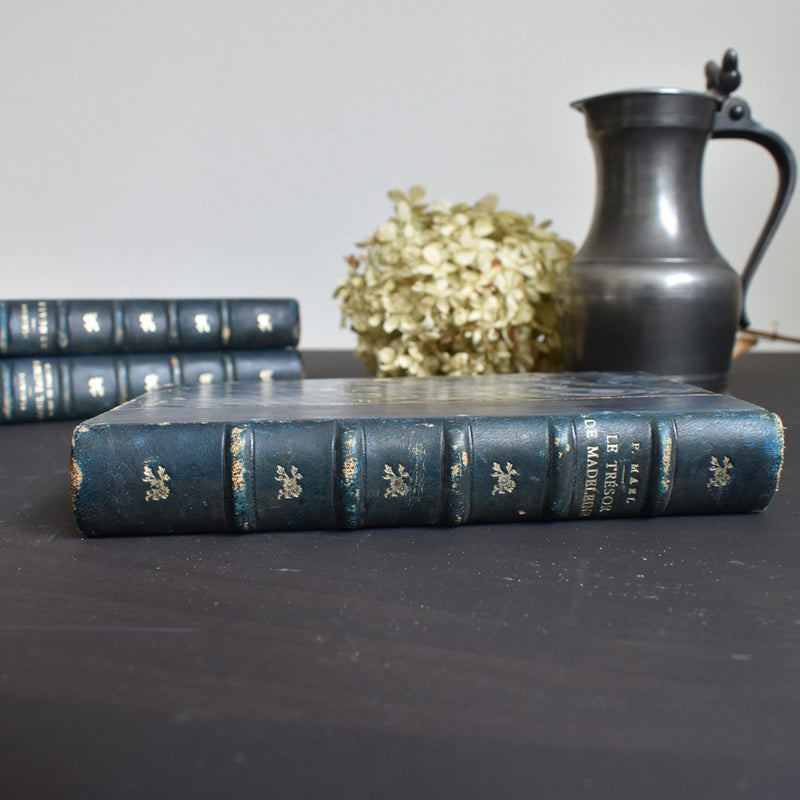 Antique book: Le Trésor de Madelaine