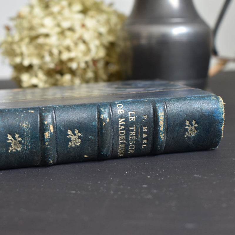 Antique book: Le Trésor de Madelaine