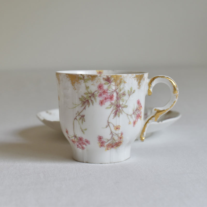 Antique Cup & Saucer CFH/GDM (Haviland) A