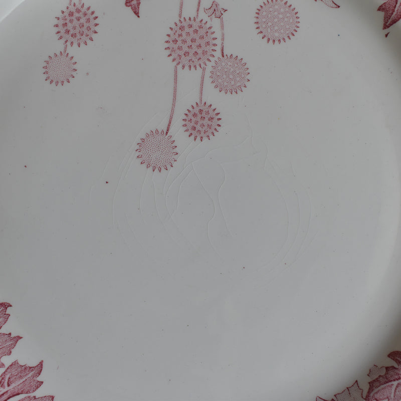 Antique Plate K&G Luneville Platane E