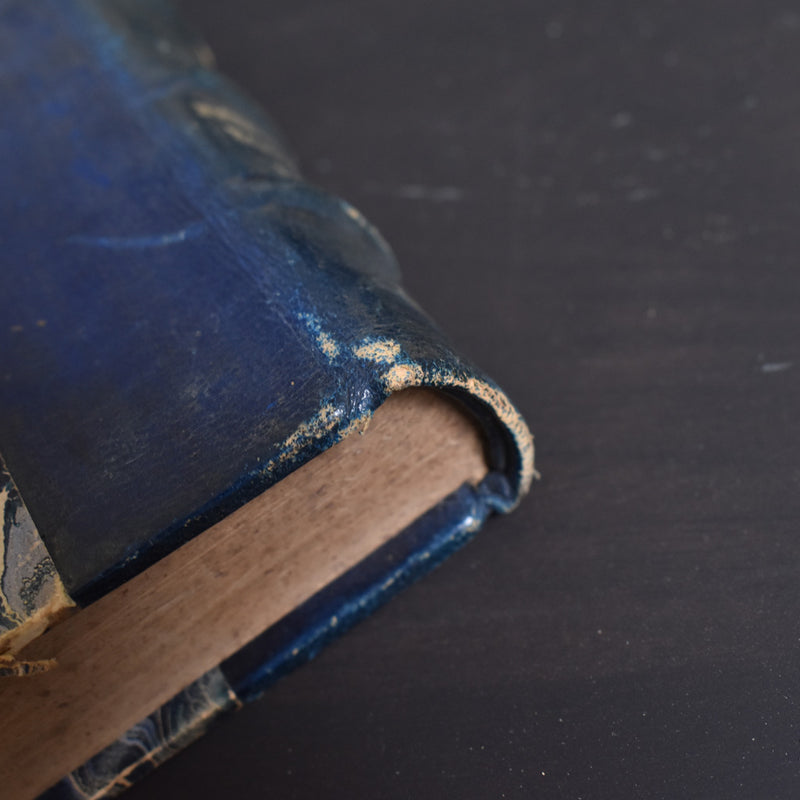 Antique book: Le Trésor de Madelaine