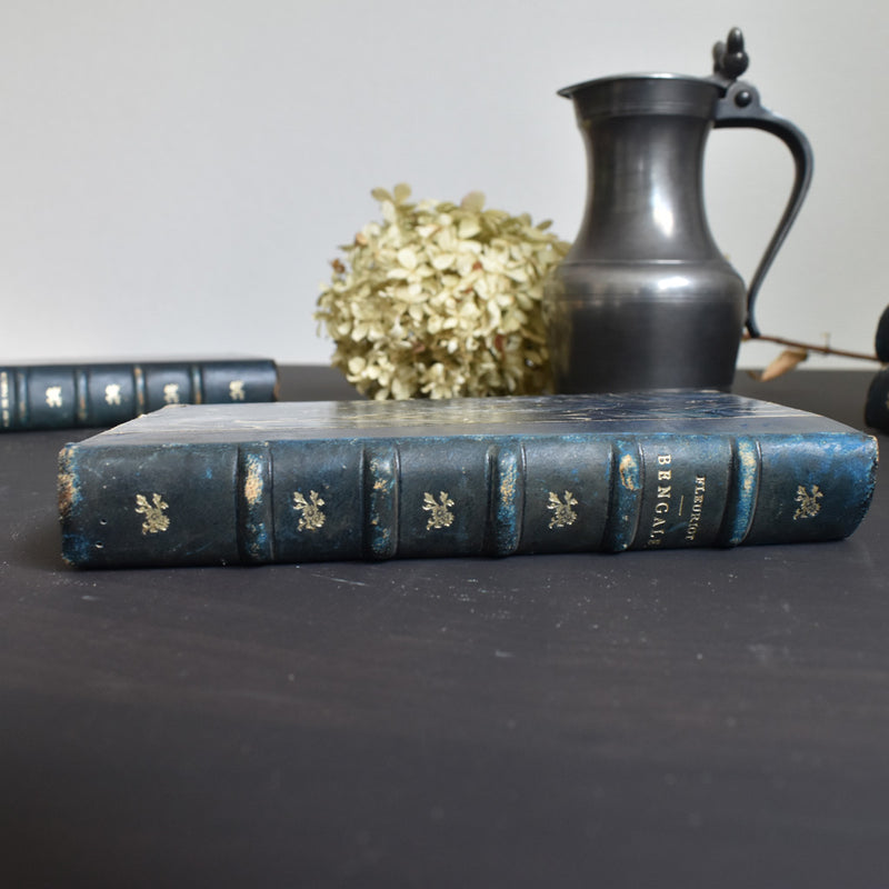 Antique book: Bengale