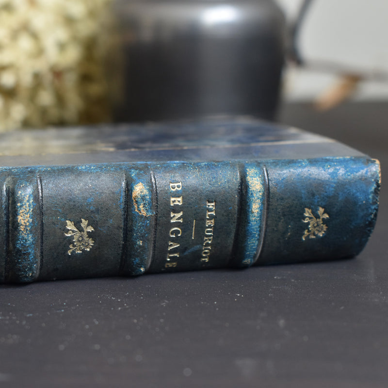 Antique book: Bengale