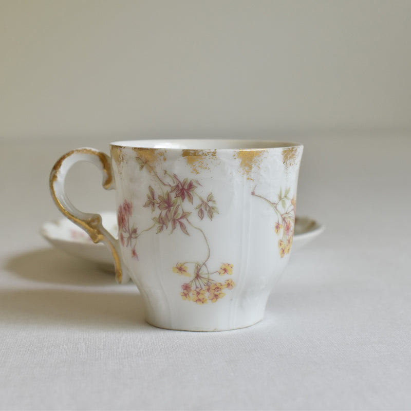 Antique Cup & Saucer CFH/GDM (Haviland) B