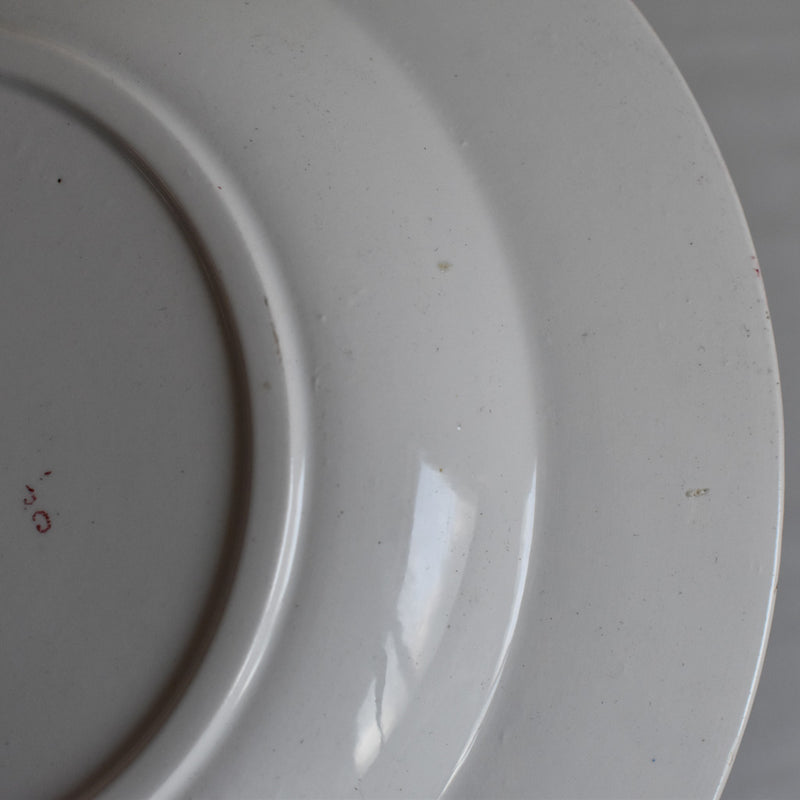 Antique Deep Plate - Sarreguemines Fontanges