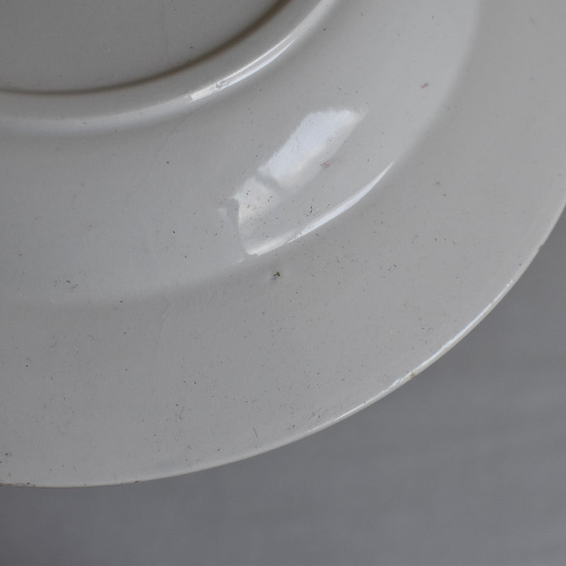 Antique Deep Plate - Sarreguemines Fontanges